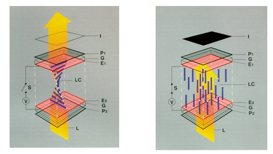 how-TN-works